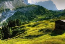 Photo of Tutti in Trentino, per il bagno nella foresta. Bellissima  iniziativa da scoprire