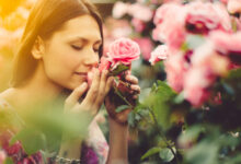 Photo of Le donne che amano le rose hanno l’eleganza nell’animo. Le caratteristiche e la personalità