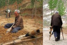 Photo of Un anziano disabile pianta alberi per 20 anni: con il suo encomiabile sacrificio ha dato vita ad una rigogliosa foresta di circa 17.000 alberi