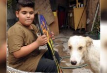 Photo of Un bambino di 9 anni mette in vendita il suo skateboard sui social per portare il cane trovato ferito e abbandonato in strada dal veterinario